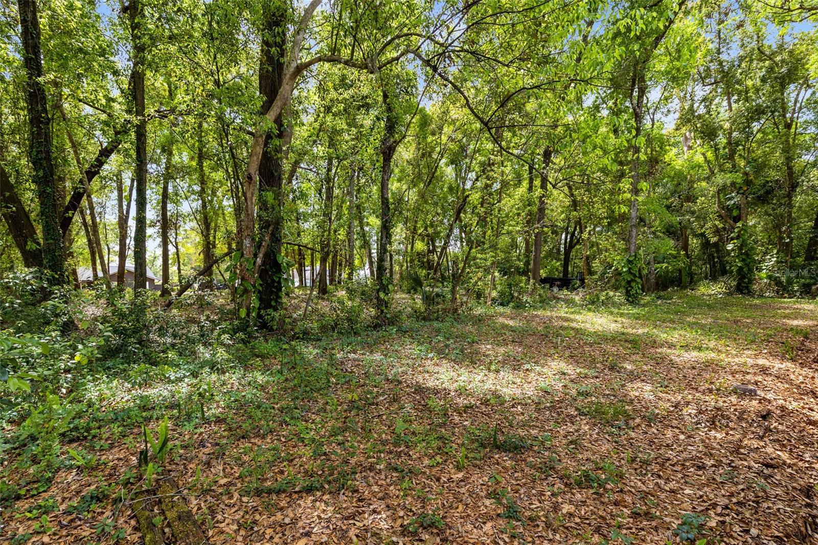 25548 PINE VALLEY DR, MOUNT PLYMOUTH, FL, 32776