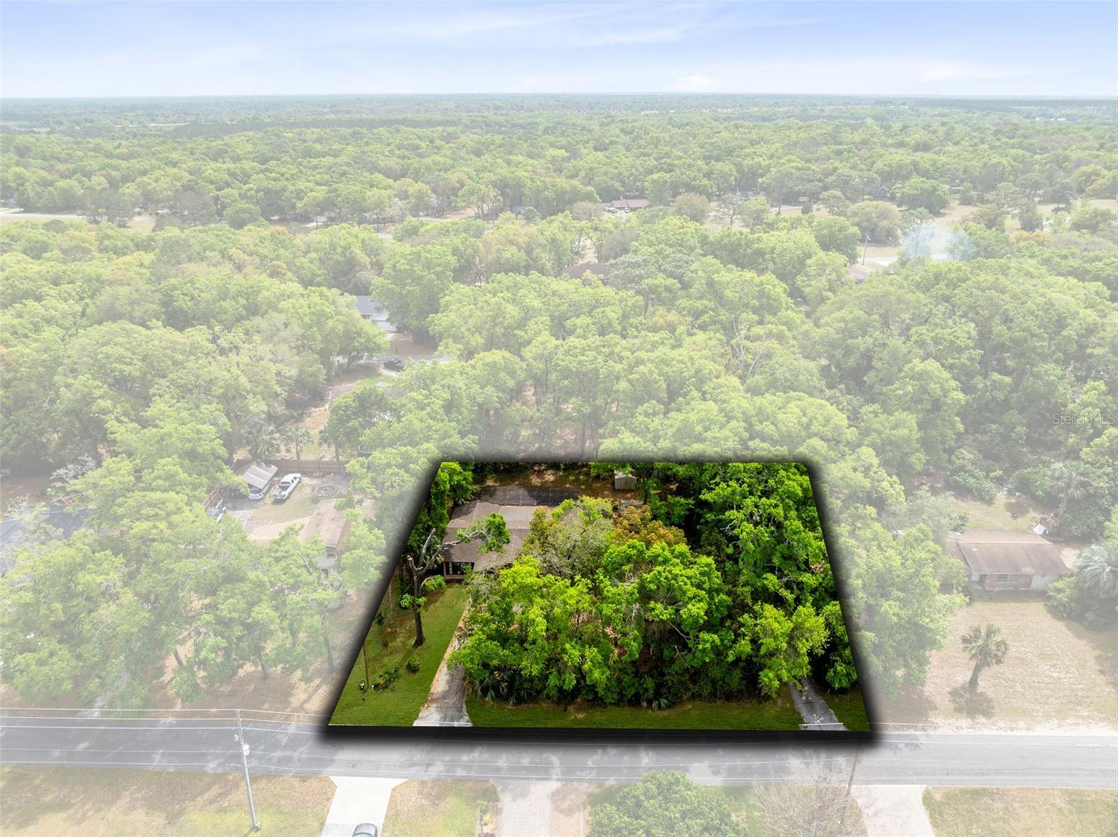 25548 PINE VALLEY DR, MOUNT PLYMOUTH, FL, 32776