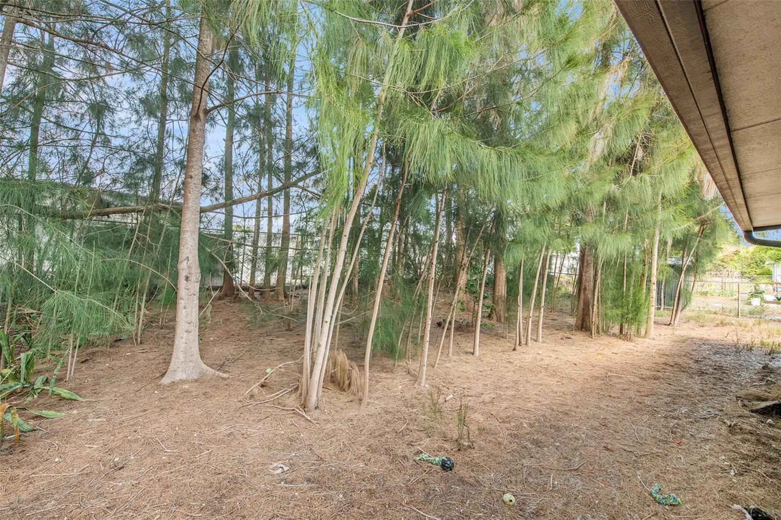3509 BIGELOW DR, HOLIDAY, FL, 34691