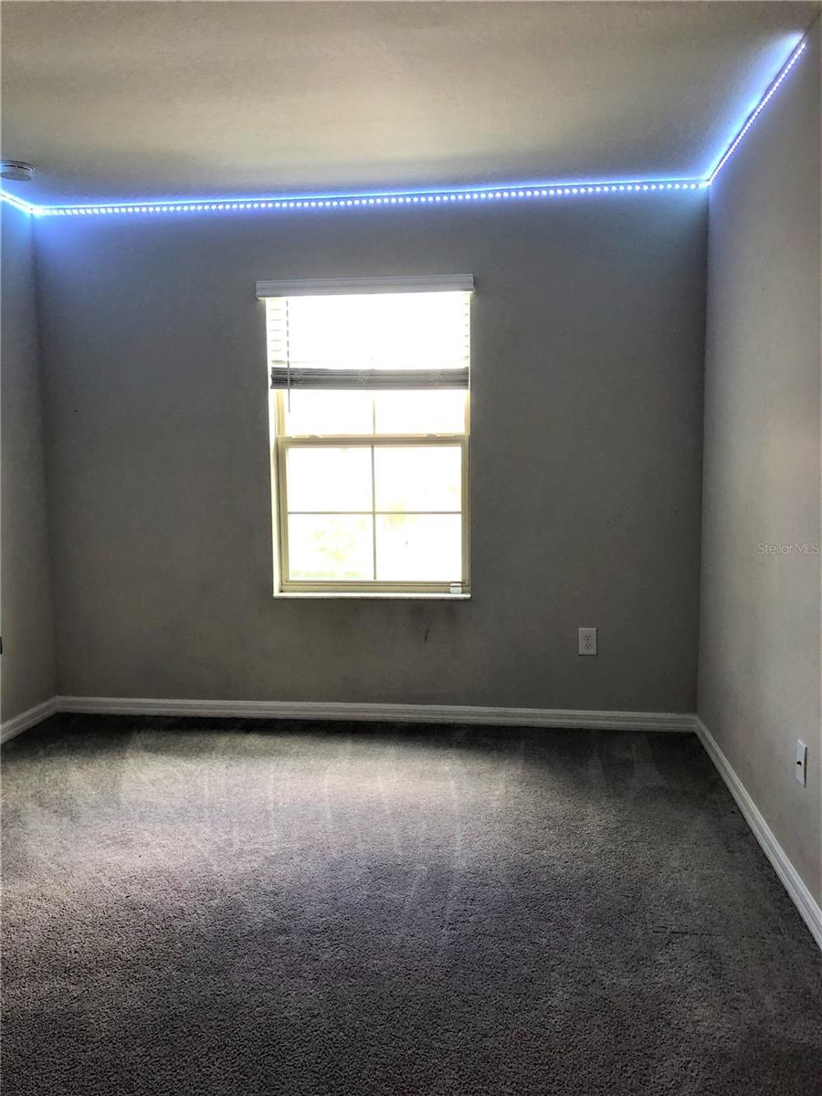 7631 FRENCH MARIGOLD AVE, TAMPA, FL, 33619