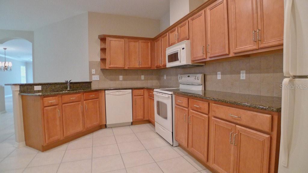 3315 CHAPEL CREEK CIR, WESLEY CHAPEL, FL, 33544