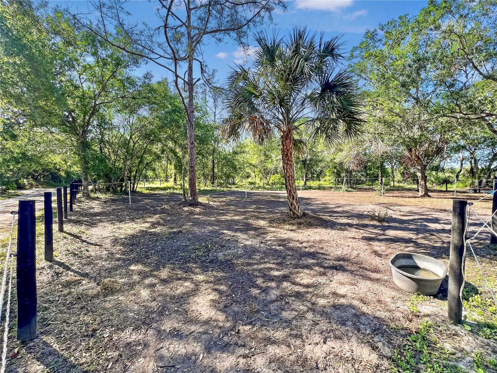 1170 SINCLAIR DR, SARASOTA, FL, 34240