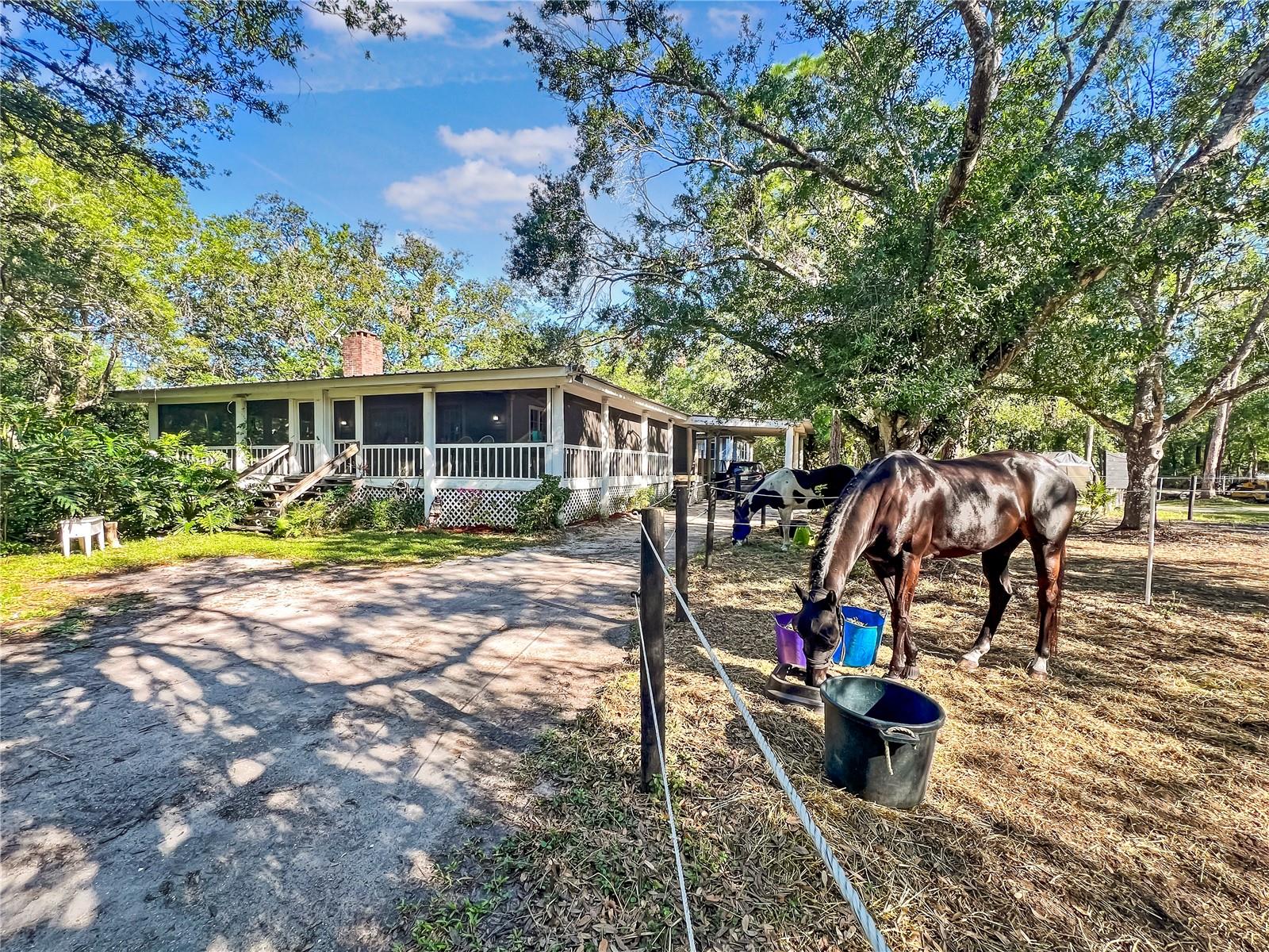 1170 SINCLAIR DR, SARASOTA, FL, 34240