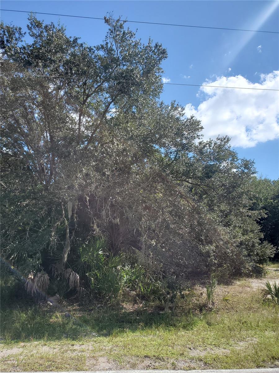 13115 PANATELLA DR, PUNTA GORDA, FL, 33955