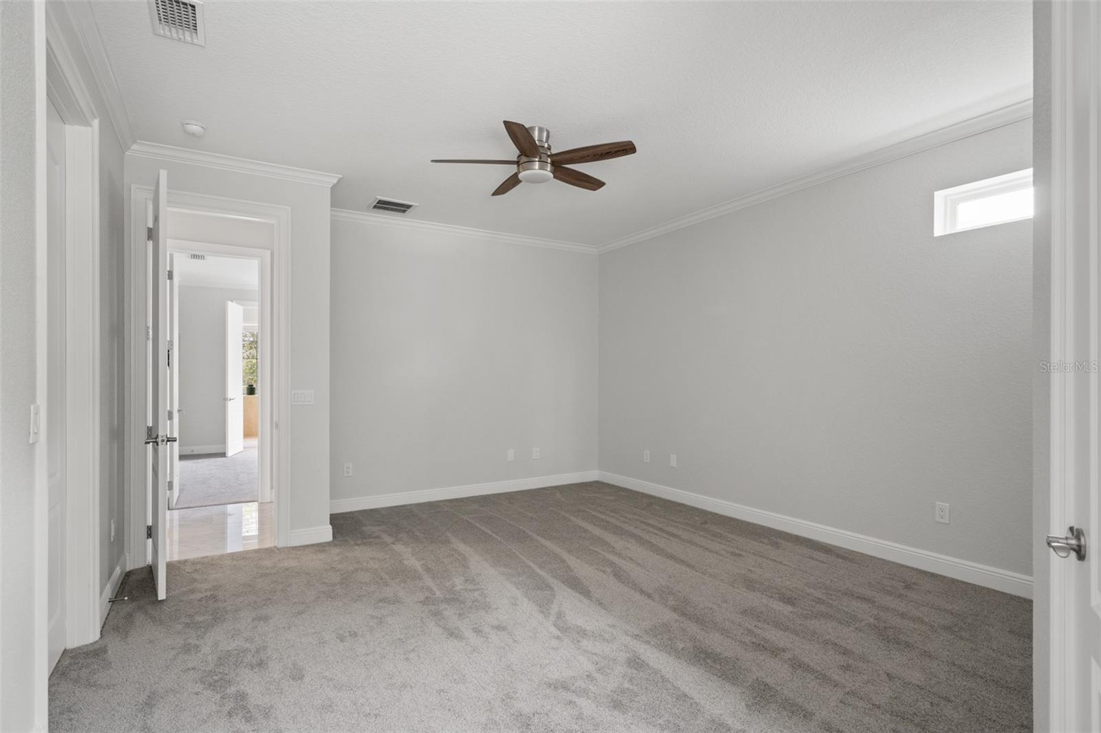 17062 COMUNIDAD DE AVILA, LUTZ, FL, 33548