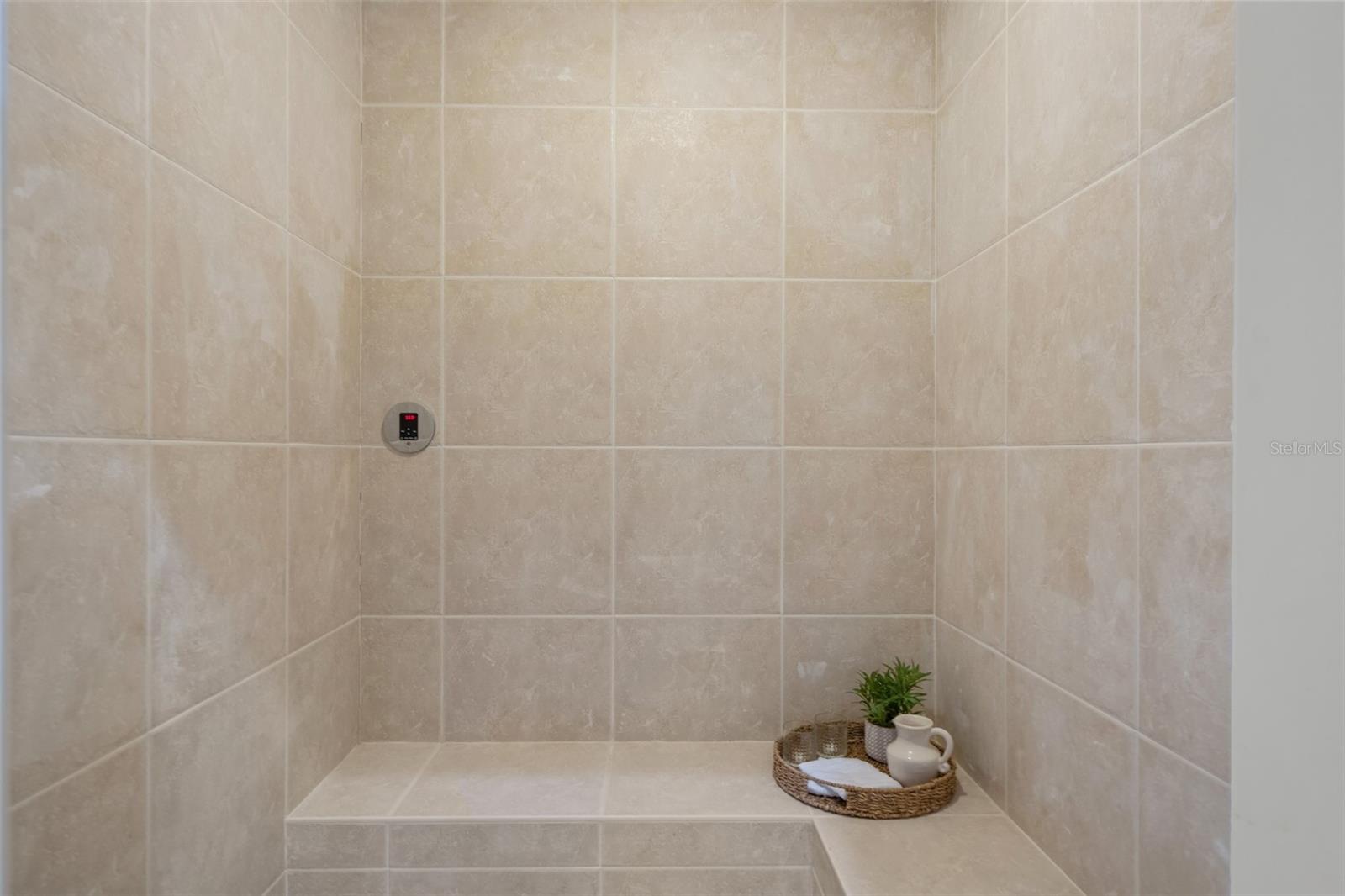 17062 COMUNIDAD DE AVILA, LUTZ, FL, 33548