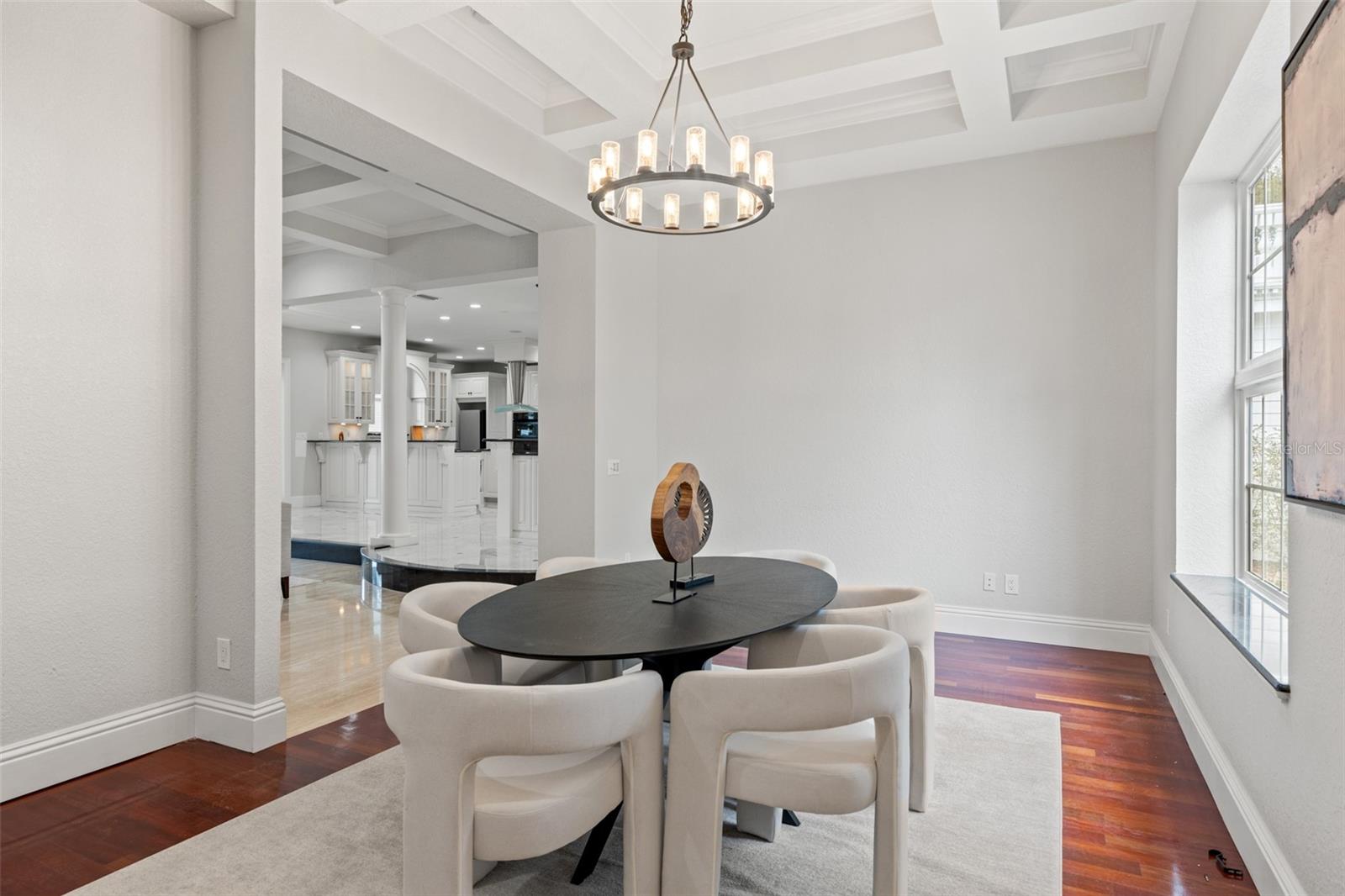 17062 COMUNIDAD DE AVILA, LUTZ, FL, 33548