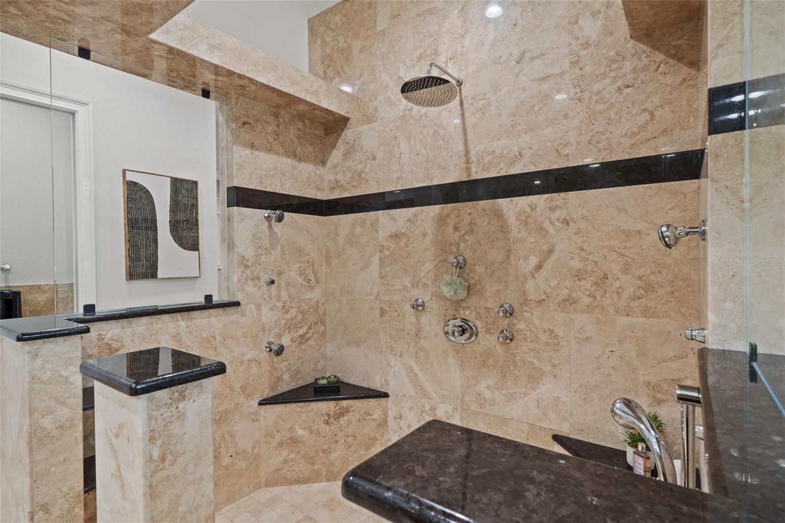 17062 COMUNIDAD DE AVILA, LUTZ, FL, 33548
