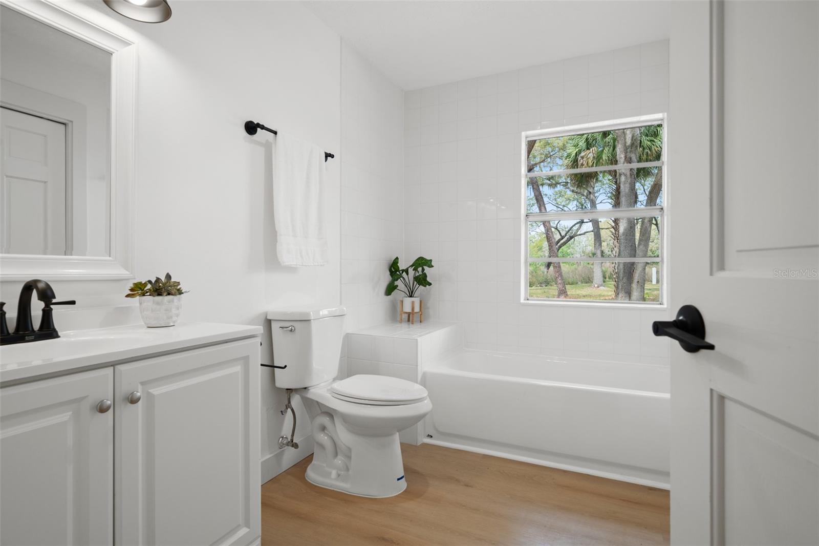 17062 COMUNIDAD DE AVILA, LUTZ, FL, 33548