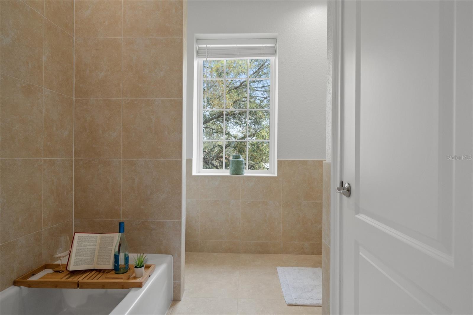 17062 COMUNIDAD DE AVILA, LUTZ, FL, 33548