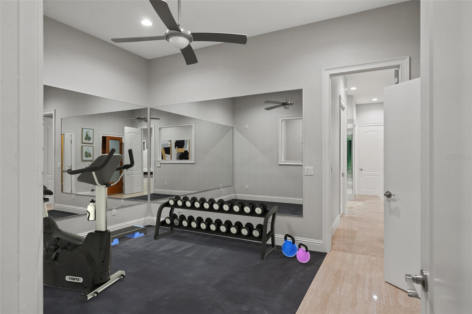 17062 COMUNIDAD DE AVILA, LUTZ, FL, 33548