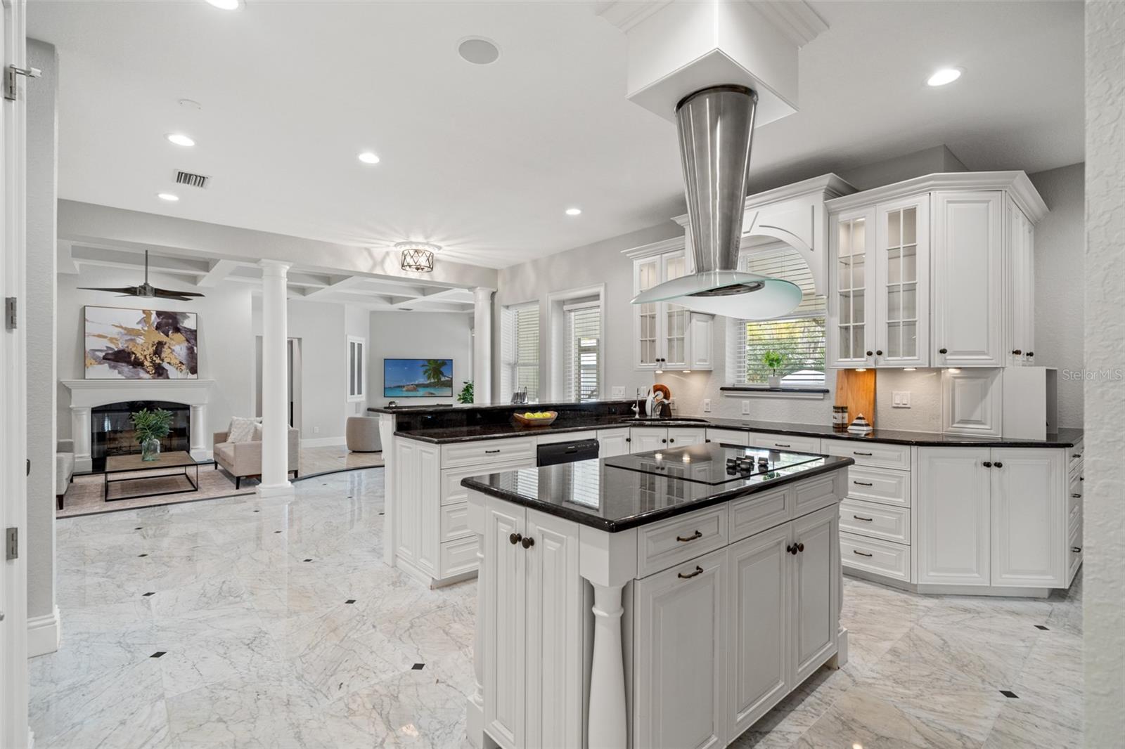 17062 COMUNIDAD DE AVILA, LUTZ, FL, 33548