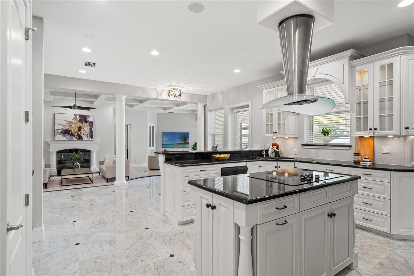 17062 COMUNIDAD DE AVILA, LUTZ, FL, 33548