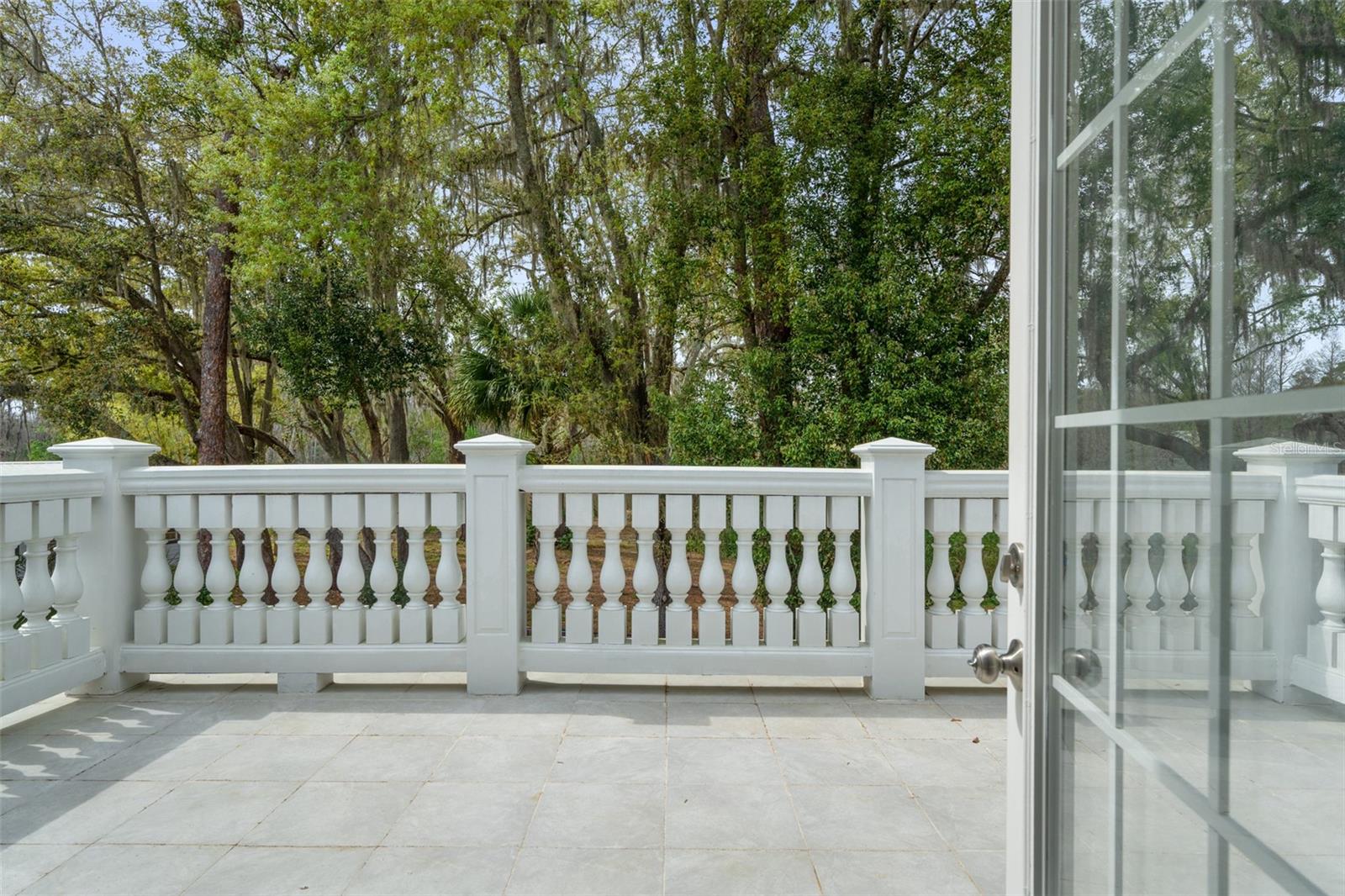 17062 COMUNIDAD DE AVILA, LUTZ, FL, 33548