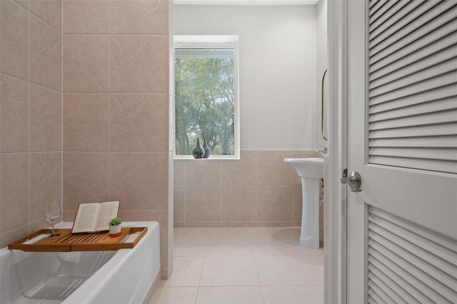 17062 COMUNIDAD DE AVILA, LUTZ, FL, 33548