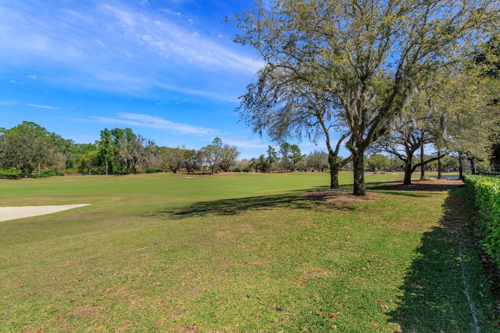 11139 CAMDEN PARK DR, WINDERMERE, FL, 34786