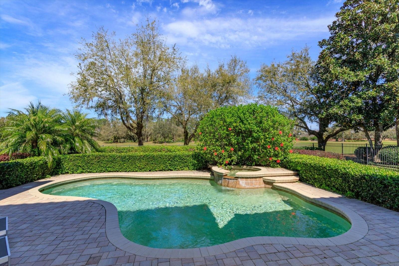 11139 CAMDEN PARK DR, WINDERMERE, FL, 34786