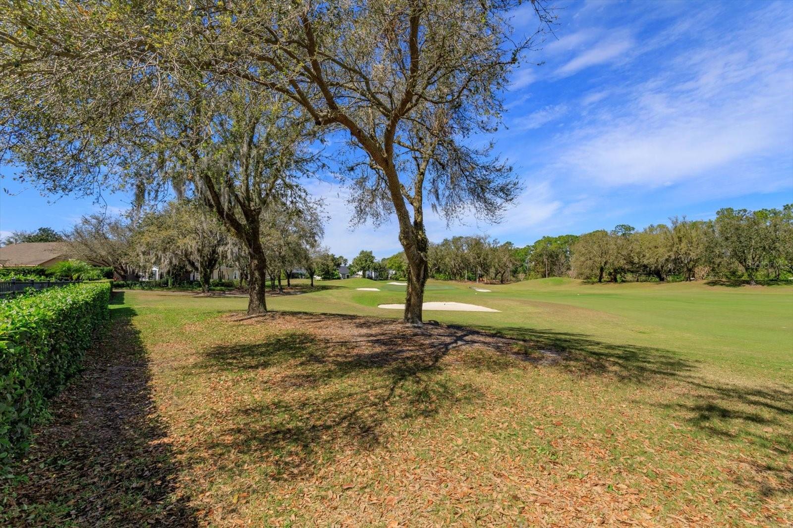11139 CAMDEN PARK DR, WINDERMERE, FL, 34786