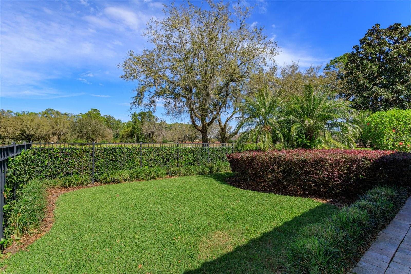 11139 CAMDEN PARK DR, WINDERMERE, FL, 34786