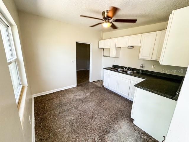 206 & 208 W IDLEWILD AVE, EUSTIS, FL, 32726