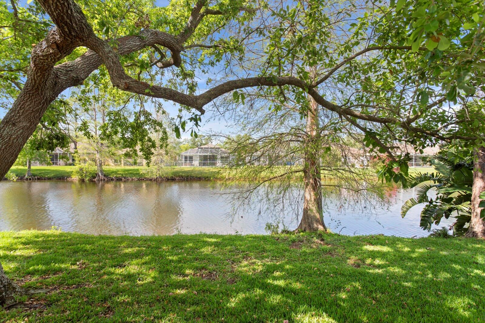 10339 LIGHTNER BRIDGE DR, TAMPA, FL, 33626