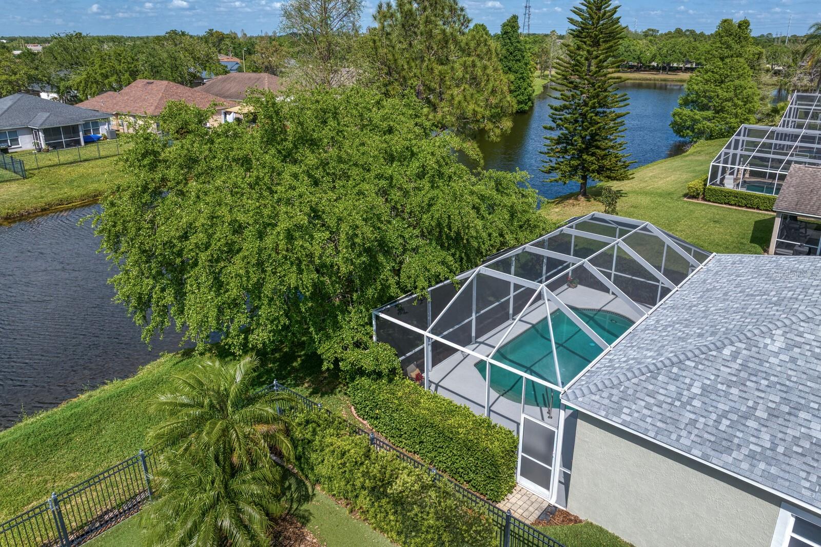 10339 LIGHTNER BRIDGE DR, TAMPA, FL, 33626