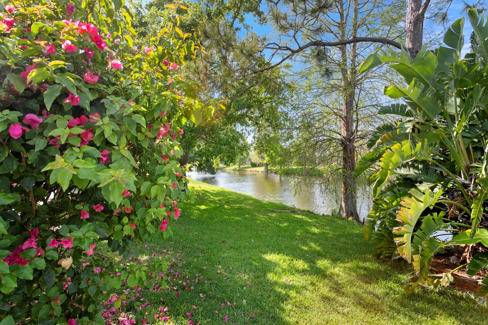 10339 LIGHTNER BRIDGE DR, TAMPA, FL, 33626