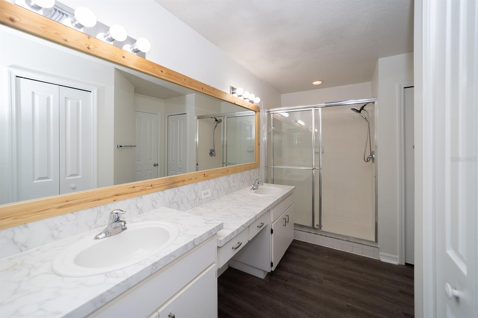 28430 MEADOWRUSH WAY, WESLEY CHAPEL, FL, 33543