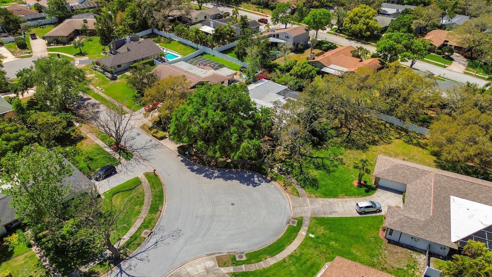 838 PARK CT, PALM HARBOR, FL, 34683