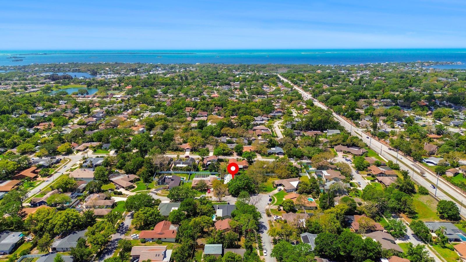 838 PARK CT, PALM HARBOR, FL, 34683