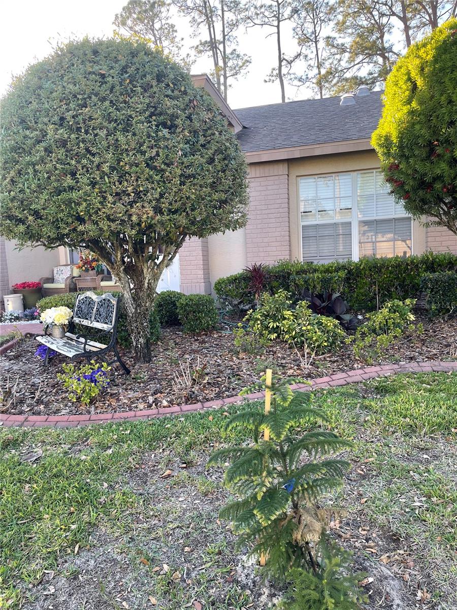 18607 BENT PINE DR, HUDSON, FL, 34667