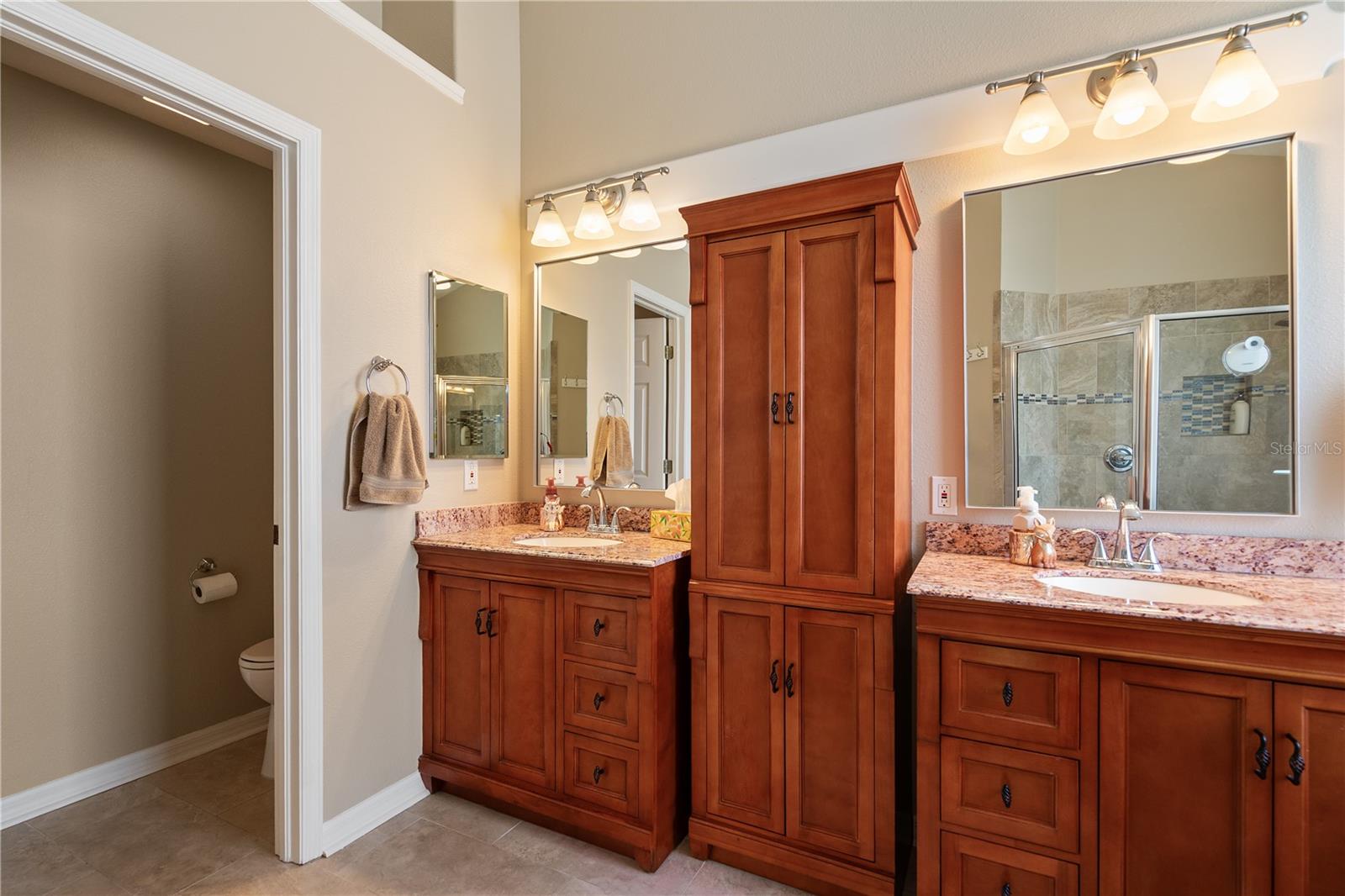 5810 BENT GRASS DR, VALRICO, FL, 33596