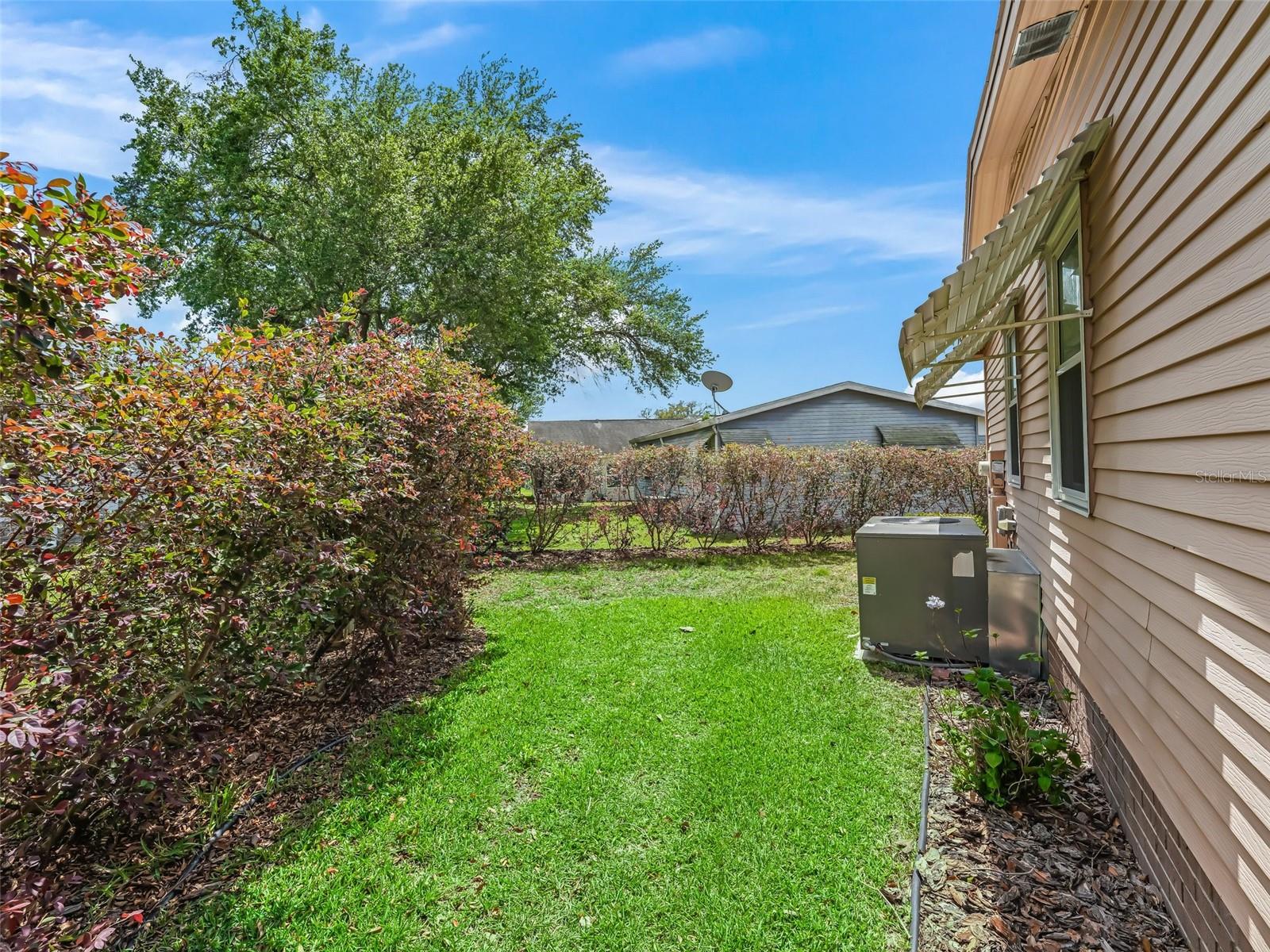 1003 PARKER PL, LADY LAKE, FL, 32159