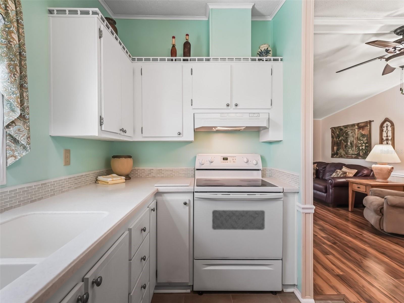 1003 PARKER PL, LADY LAKE, FL, 32159