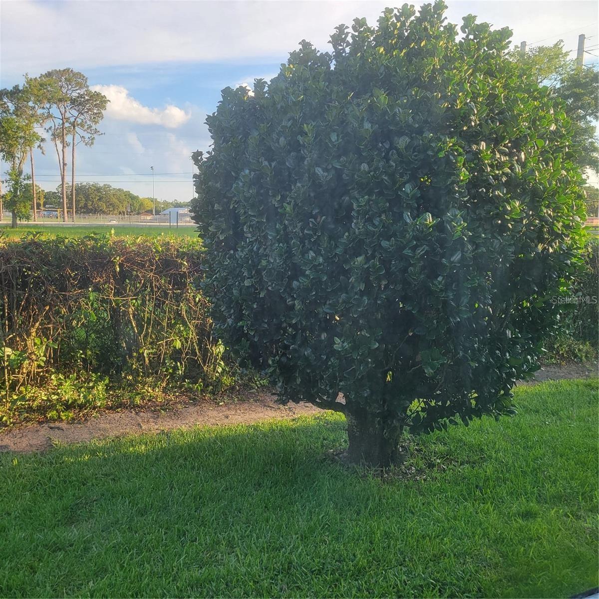 38243 IRONWOOD PL, ZEPHYRHILLS, FL, 33542