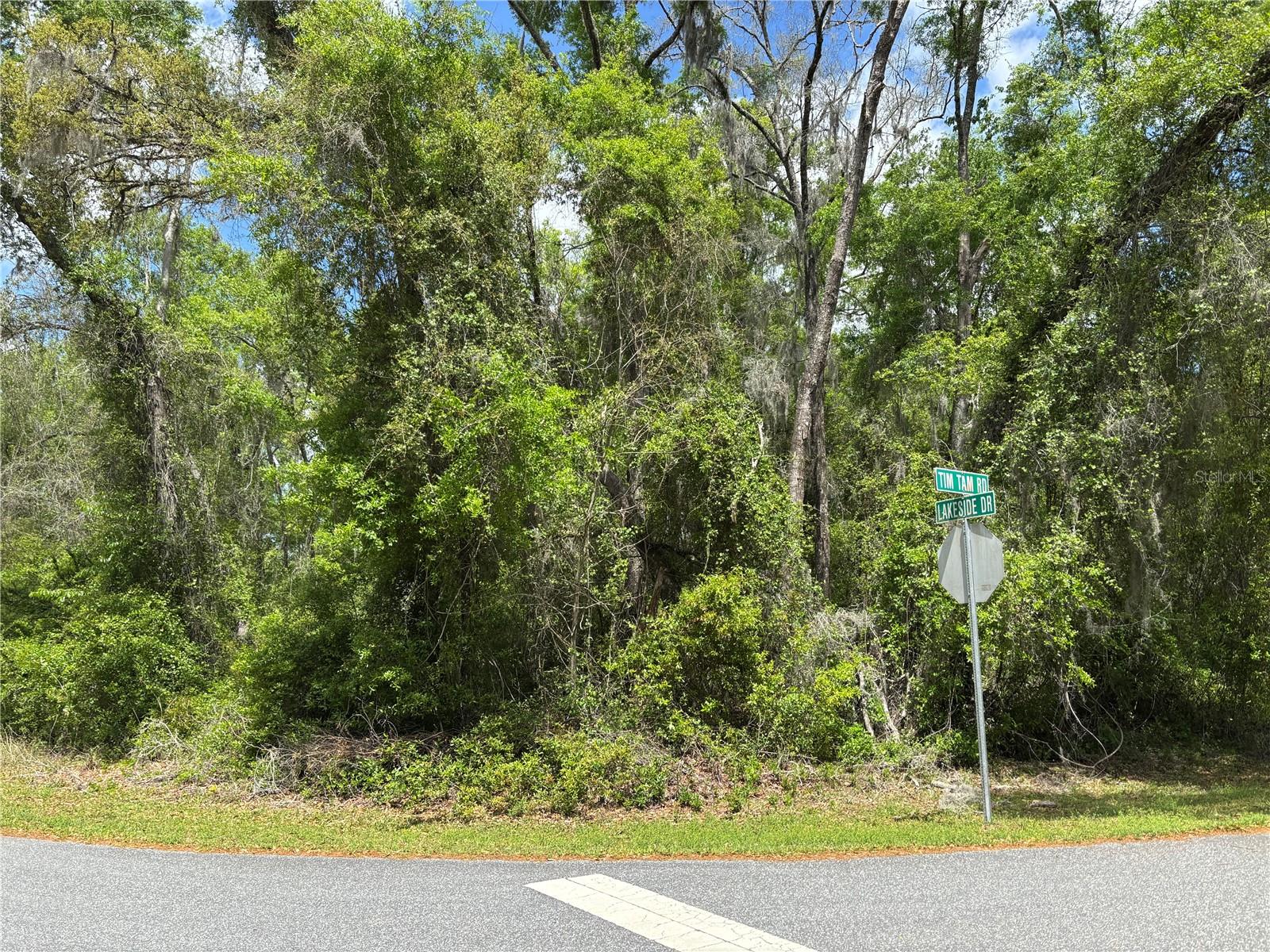 LAKE SIDE DRIVE, OCALA, FL, 34482