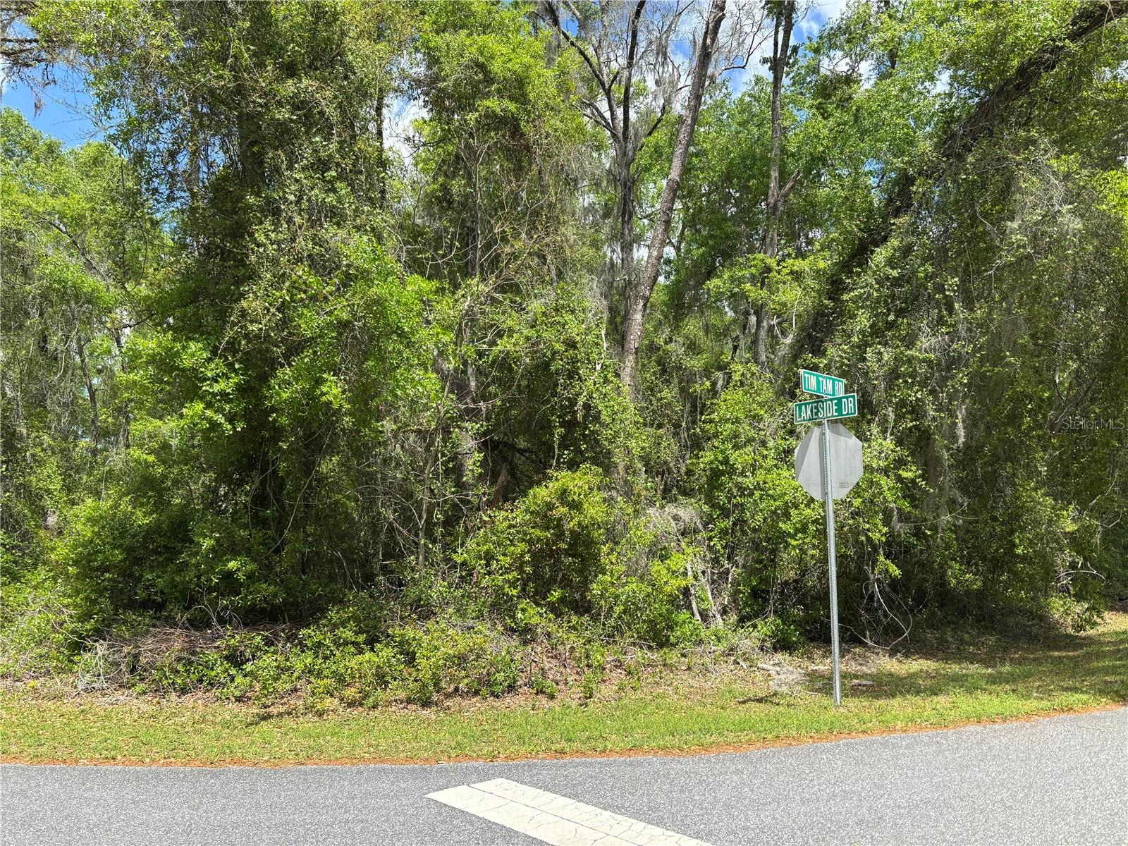 LAKE SIDE DRIVE, OCALA, FL, 34482