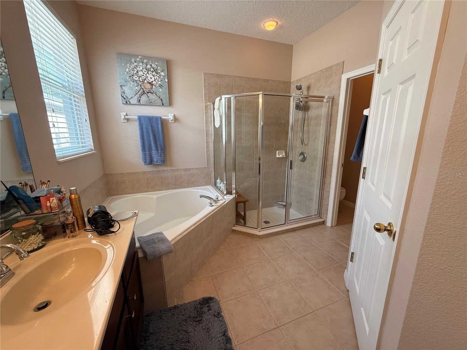 5548 BURLWOOD DR, ORLANDO, FL, 32810