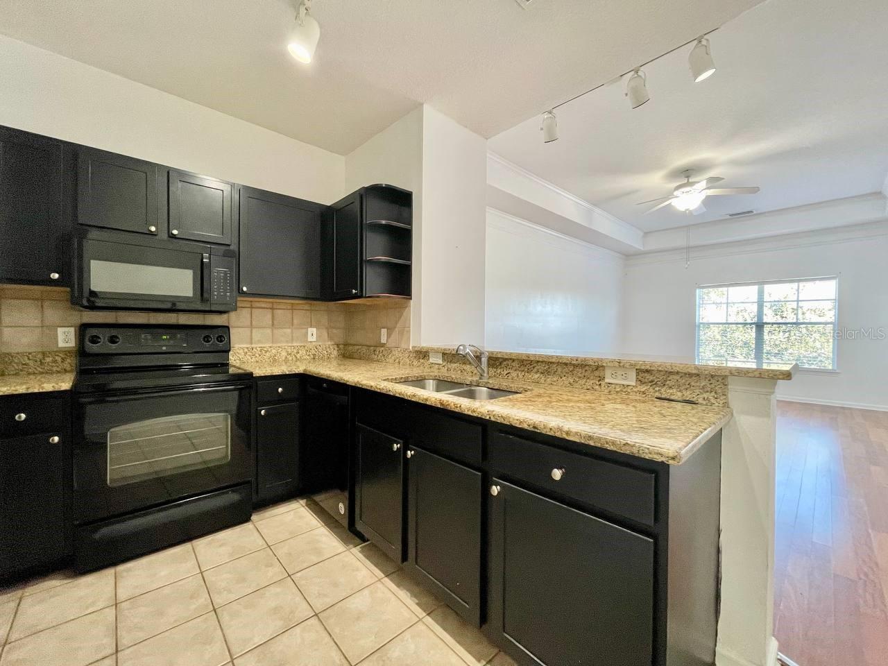 4207 S DALE MABRY HWY #6410, TAMPA, FL, 33611