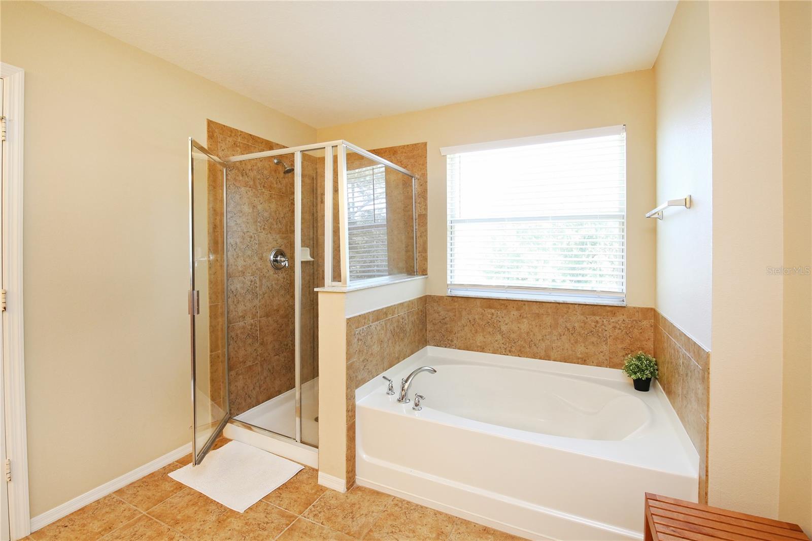 1039 TOURMALINE DR, KISSIMMEE, FL, 34746