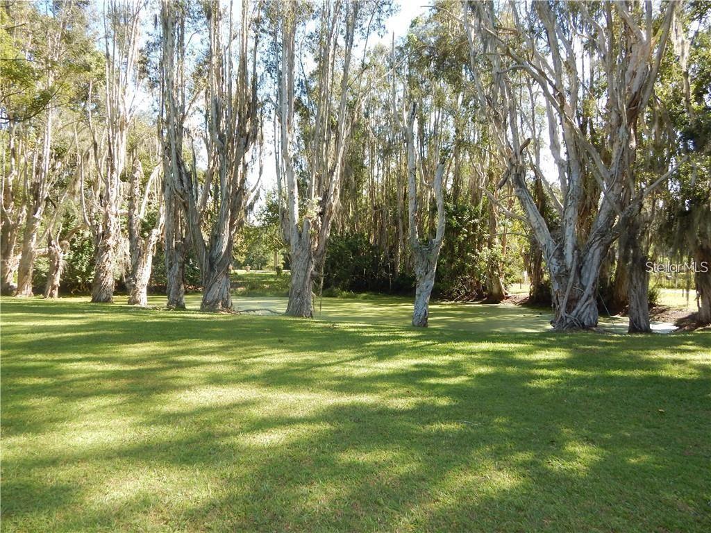 21851 HALE RD, LAND O LAKES, FL, 34639