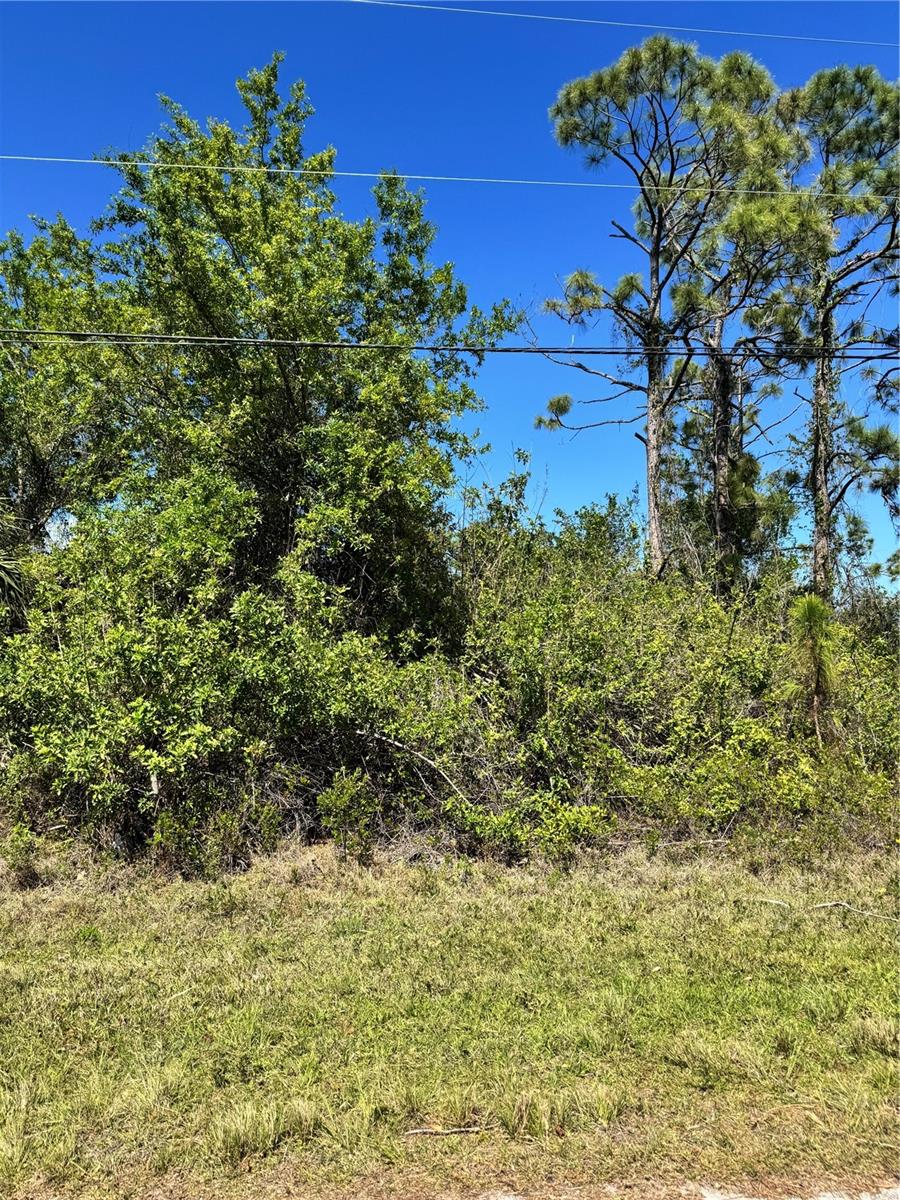 14400 POCONO AVE, PORT CHARLOTTE, FL, 33981