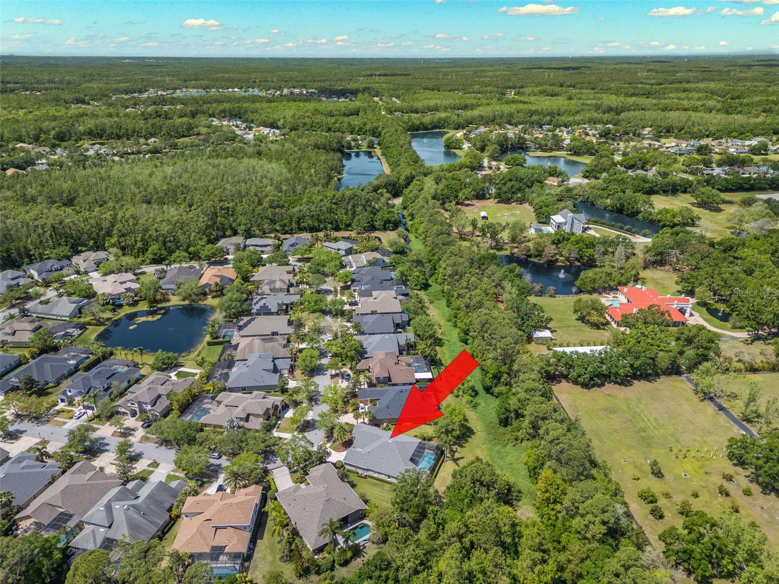 14817 TUDOR CHASE DR, TAMPA, FL, 33626