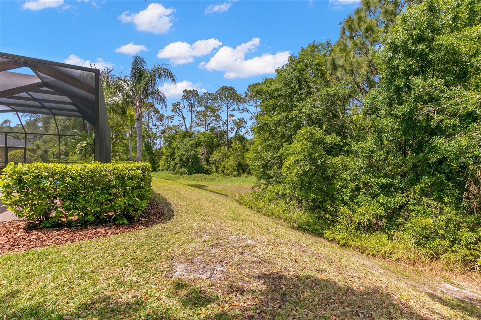 14817 TUDOR CHASE DR, TAMPA, FL, 33626