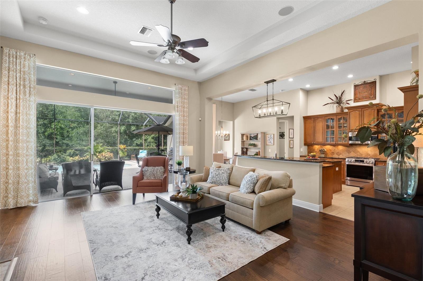 14817 TUDOR CHASE DR, TAMPA, FL, 33626