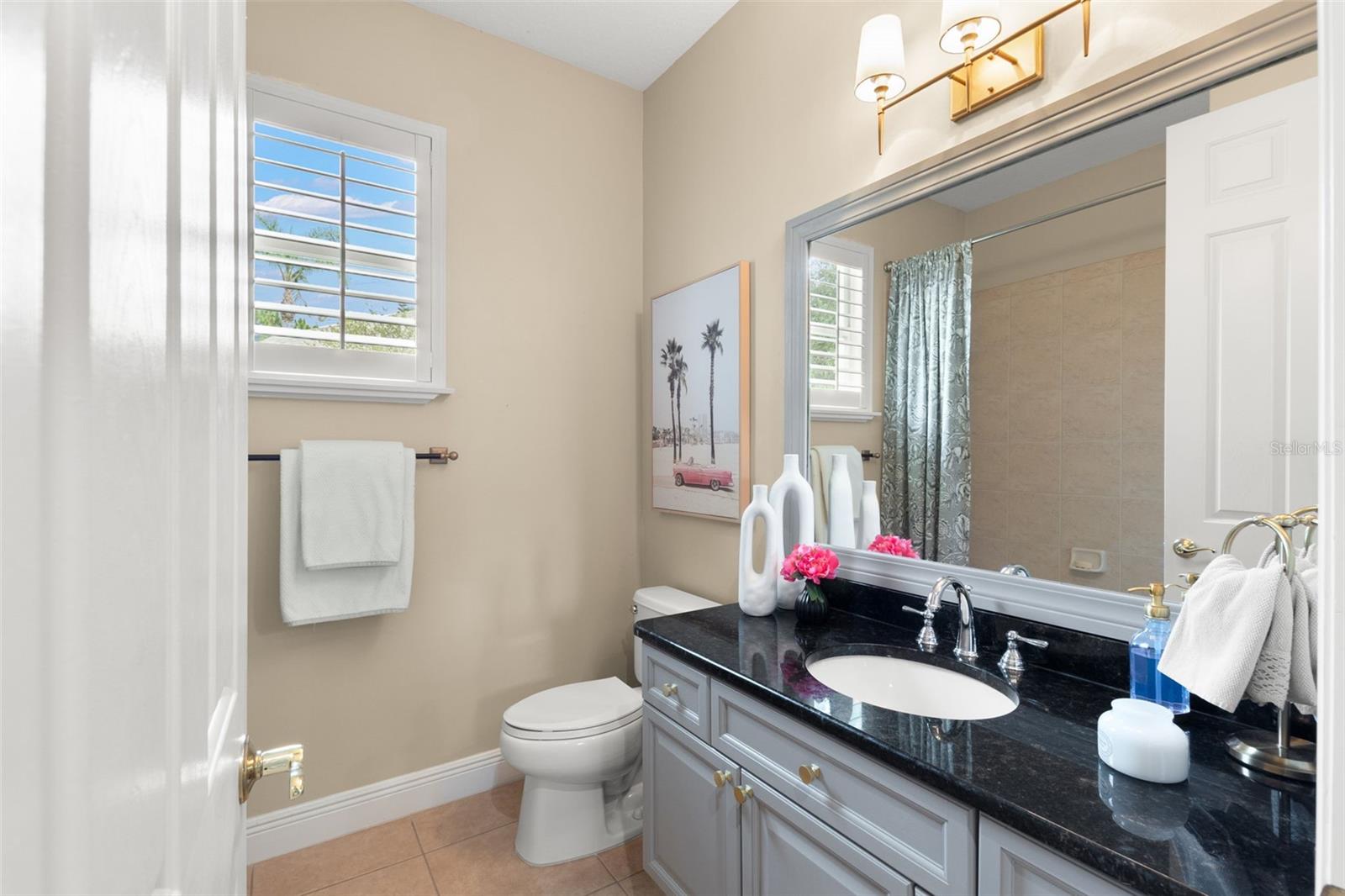 14817 TUDOR CHASE DR, TAMPA, FL, 33626