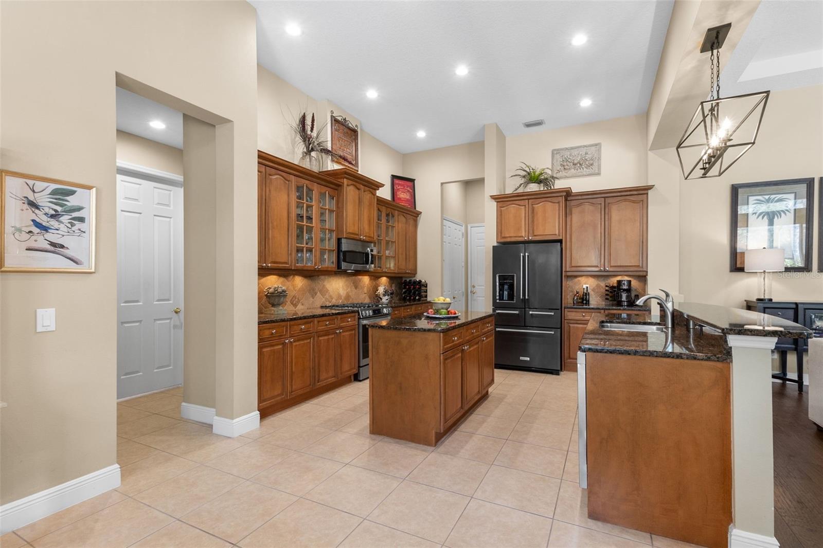 14817 TUDOR CHASE DR, TAMPA, FL, 33626