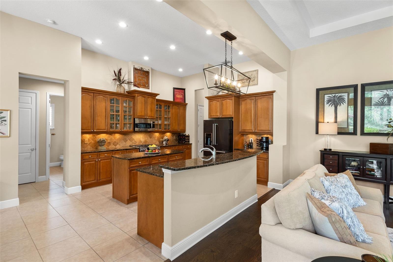 14817 TUDOR CHASE DR, TAMPA, FL, 33626