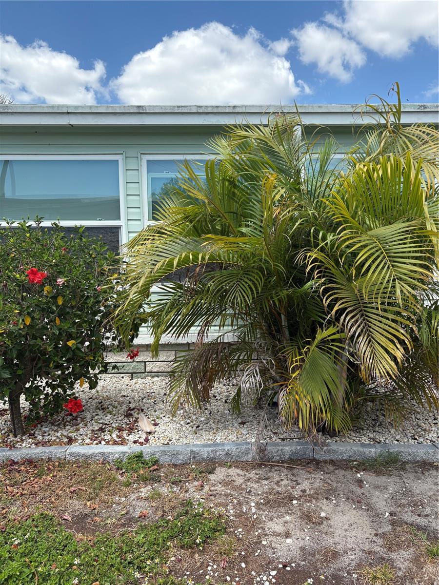 11087 102ND WAY #207, LARGO, FL, 33773