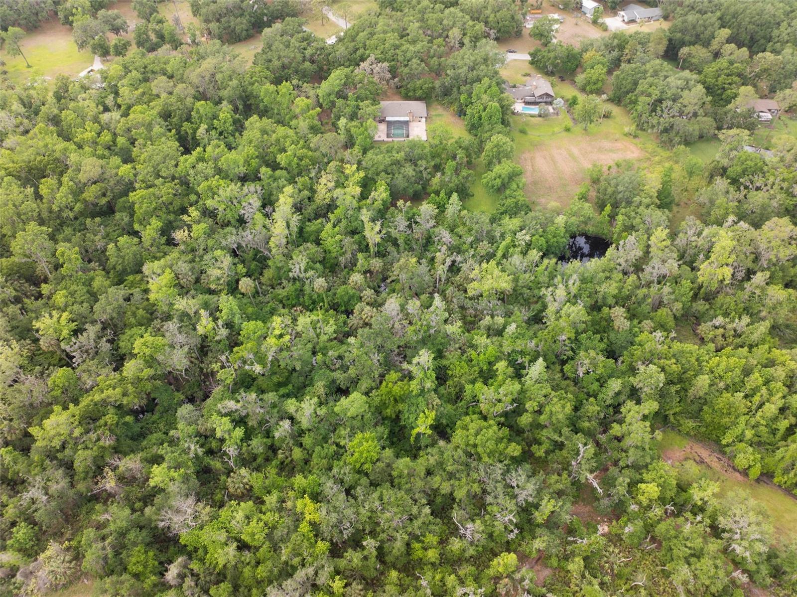 6340 NELMS RD E, LAKELAND, FL, 33811